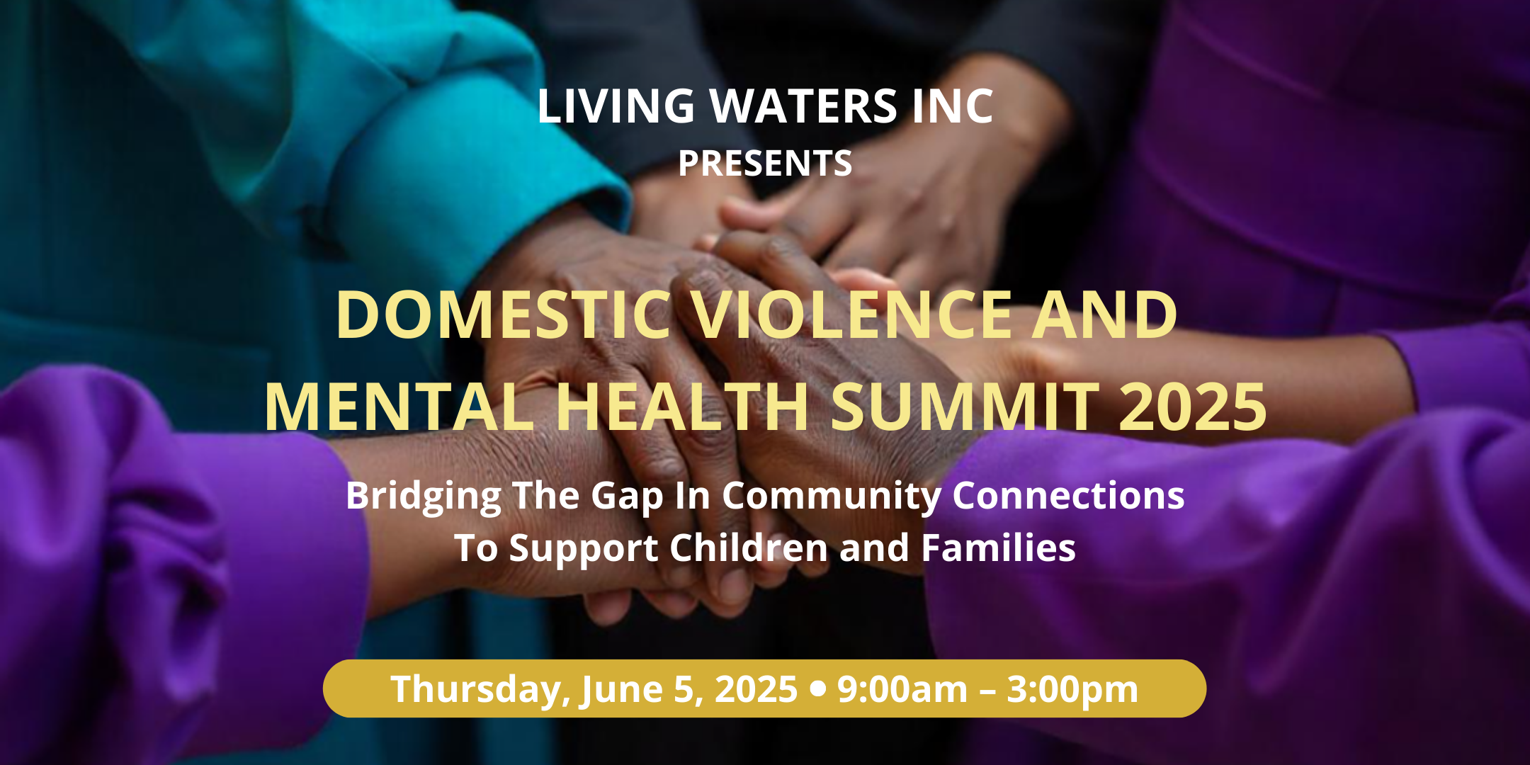 Domestic Violence and Mental Health Summit 2025